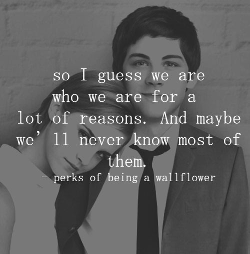 Perks of Being A WallFlower quote