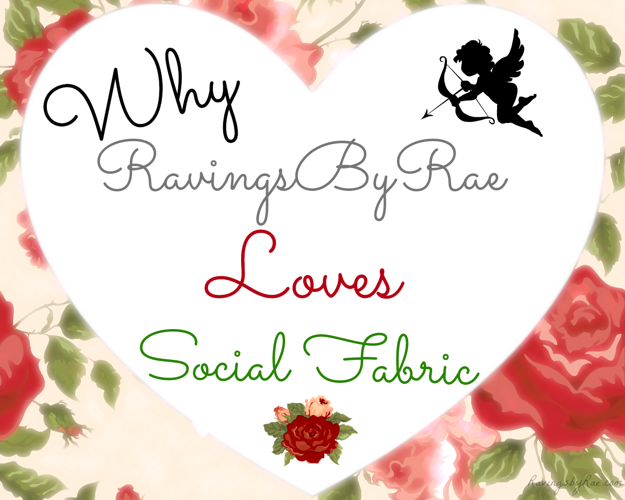 Why RavingsByRae Loves Social Fabric #LuvSoFab