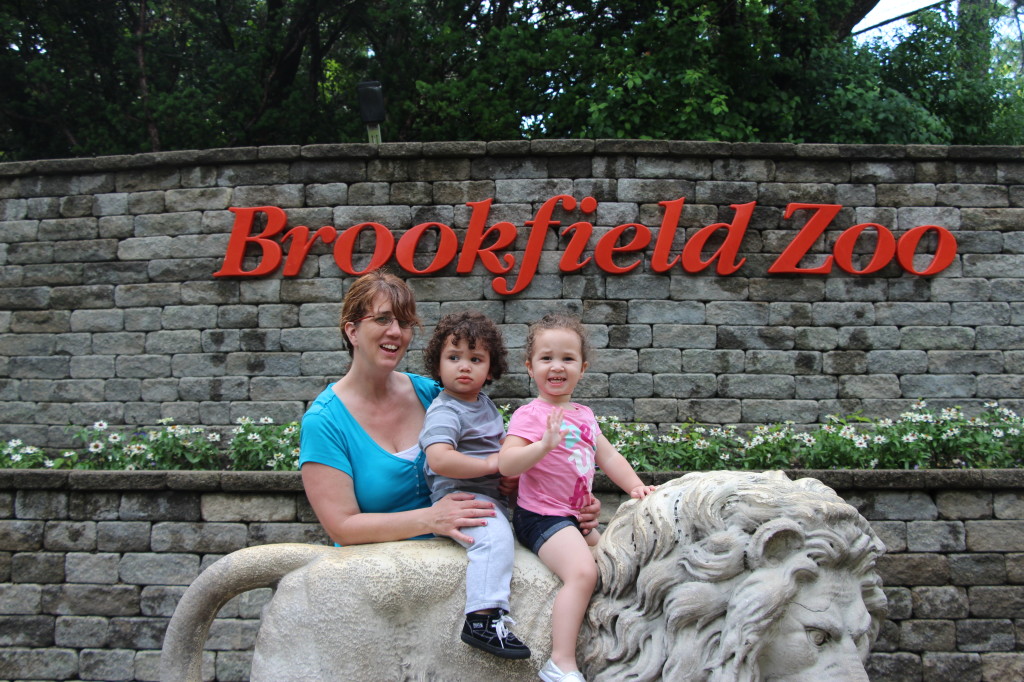 Chicago Attractions: Brookfield Zoo 