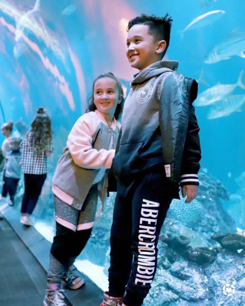 We had such an amazing time at the @shedd_aquarium with @Abercrombiekids! The kiddos got to pet penguins hang with a sea lion, and got kissed by a beluga whale ! Shop Nahla & Jaden’s looks through the @liketoknow.it app or the link in my bio! #ad #MyAbercrombieKid #abercrombiekidspartner http://liketk.it/2uMTX #liketkit